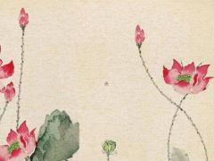 把烏龜養(yǎng)死了有因果嗎 把龜養(yǎng)死了是不是對(duì)主人不好