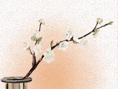 八字算命看另一半 八字算命另一半年齡