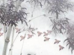 1996年鼠有幾段婚姻,1996年屬鼠的一生有幾段婚姻