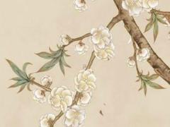 易經中的空間與時間指什么意思 易經中時間與空間的理論