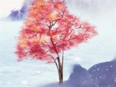 2025年哪天好適合結婚 2025年農歷五月最佳吉日