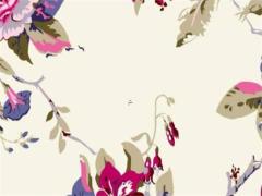 星座11月份運(yùn)勢(shì) 星座月份運(yùn)勢(shì)查詢