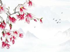 郭晶晶生辰八字解析 算命免費 生辰八字