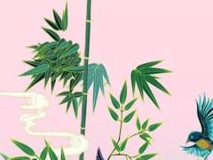 2025年5月合適的吉日 哪日吉利