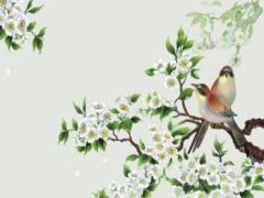 1990屬馬女的命中貴人是什么屬相呢圖片 90屬馬女一生貴人