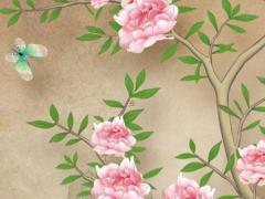 屬雞是哪年出生的幾歲 屬雞是哪年出生的年份陽(yáng)歷多少號(hào)