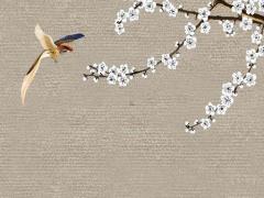 1978屬馬今年運(yùn)勢(shì) 1978年屬馬今年運(yùn)勢(shì)