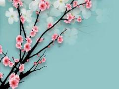 2025年農(nóng)歷4月開(kāi)光日測(cè)算 哪天最適宜