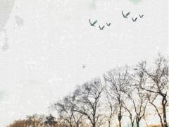 2025年農歷5月吉日查詢與出行哪天好