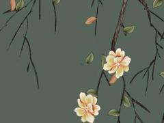 1998屬虎一生三大劫難,1998年屬虎的一生劫數