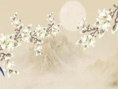 生辰八字說我離婚 生辰八字說會離婚