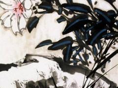 屬豬的本命年戴兔子好嗎,生肖豬本命年佩戴什么