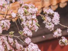 網上測八字的準嗎 網上測八字的能相信嗎