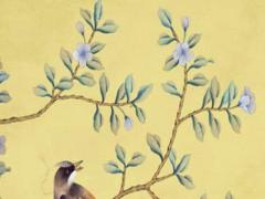 烏龜怎樣才算認(rèn)可主人 烏龜怎樣才算認(rèn)可主人 辨別的幾個(gè)行為要知曉