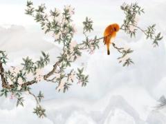 桑松木對桑松木婚配好嗎 桑松木命和桑松木命在一起好嗎