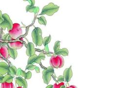 算命婚姻登記日期 婚姻算命什么時(shí)候結(jié)婚