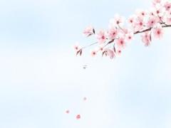 屬馬和牛屬相合不合 屬馬與屬鼠相處怎么樣