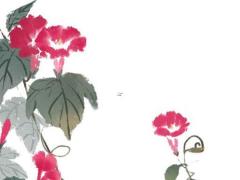 2025年5月合適的黃道吉日 哪天好出行