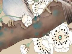 2025年四月十四最佳結婚日適宜選擇