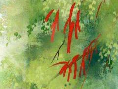 算命先生算姻緣的那些可信嗎 算命先生的專業術語姻緣