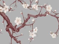 真的有兩人相克的說法嗎 真的會有兩個人在一起相克的？