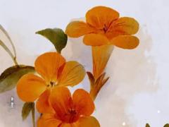 2025年四月搬家吉利日子推薦與查詢