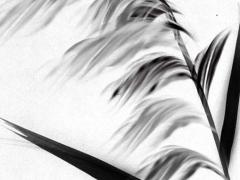 2025年5月搬家哪天好適宜吉日測算