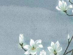 連云港八字植草磚 八字植草磚鋪設方法