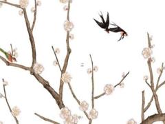 孕婦十大禁忌水果有哪些 孕婦的十大禁忌水果