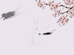 上海婚禮跟拍多少錢 婚禮跟拍多少錢一天