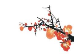 屬猴的適合戴貔貅嗎 屬猴可以帶貔貅項鏈和貔貅手鏈嗎