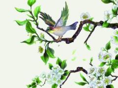 周易八卦測婚姻吉兇 周易八字測算婚姻