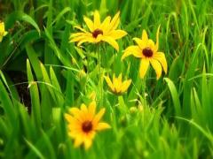 夢(mèng)見(jiàn)有怪獸追趕