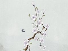 2024年屬龍和什么屬相相克 2024年與什么屬相相沖