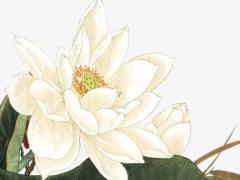 批八字時鐵板煞查法 八字神煞鐵板煞解析