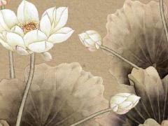 本命年24歲可以結婚嗎,本命年24歲可以結婚嗎請問