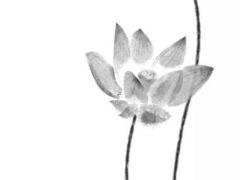 離婚對(duì)命運(yùn)有影響嗎 離婚對(duì)命運(yùn)的影響