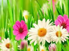 孕婦夢(mèng)見(jiàn)自己來(lái)大姨媽了還看到血