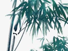 2025年5月出行的適宜日子 查詢最佳日