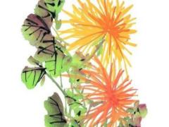 2025年5月合適的吉利日子 哪天好