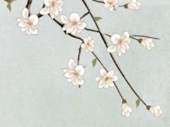 2025年5月吉日出行推薦 哪天適宜