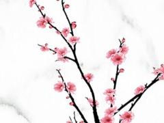 客廳十大鎮宅植物 客廳適合養什么花和植物好風水