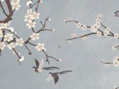 屬鼠的人帶什么比較好 屬鼠的人帶什么首飾比較好