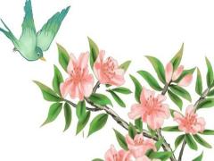 照樣子寫詞語八字 照樣子寫詞語寫句子