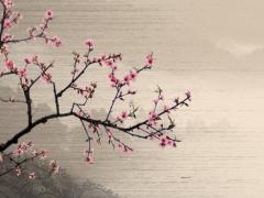 屬鼠男和屬馬女的婚姻感情如何 屬鼠男和屬馬女在一起會怎么樣