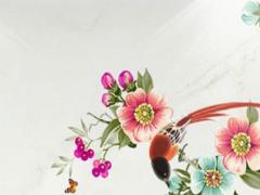 屬鼠女人一生的命運婚姻 屬鼠女一生的感情運勢