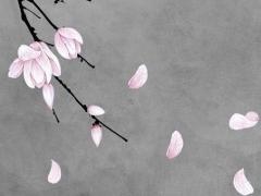 屬龍的是啥命2000年的龍 2000年屬龍是啥命人