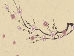 猜八字國慶節(jié)那個是哪八個字 國慶節(jié)打一數(shù)字