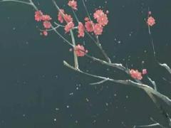 出生日期配對夫妻測試 出生日期測試兩人婚姻