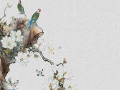 真正的巨蟹座女性格 巨蟹座女生的真實性格超準